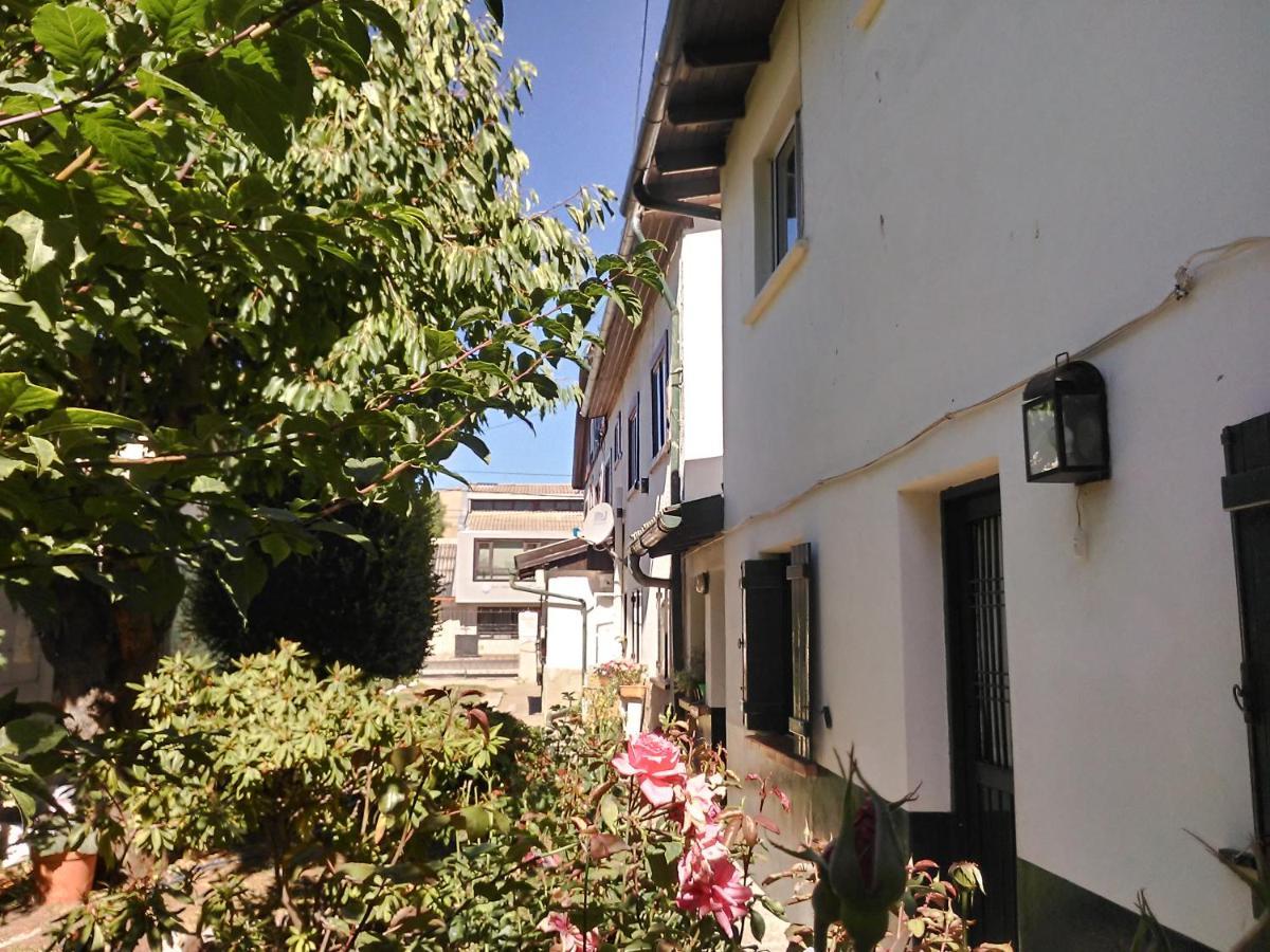 Residencial Sissus Hotel ซานคาร์ลอส เด บาริโลเช ภายนอก รูปภาพ